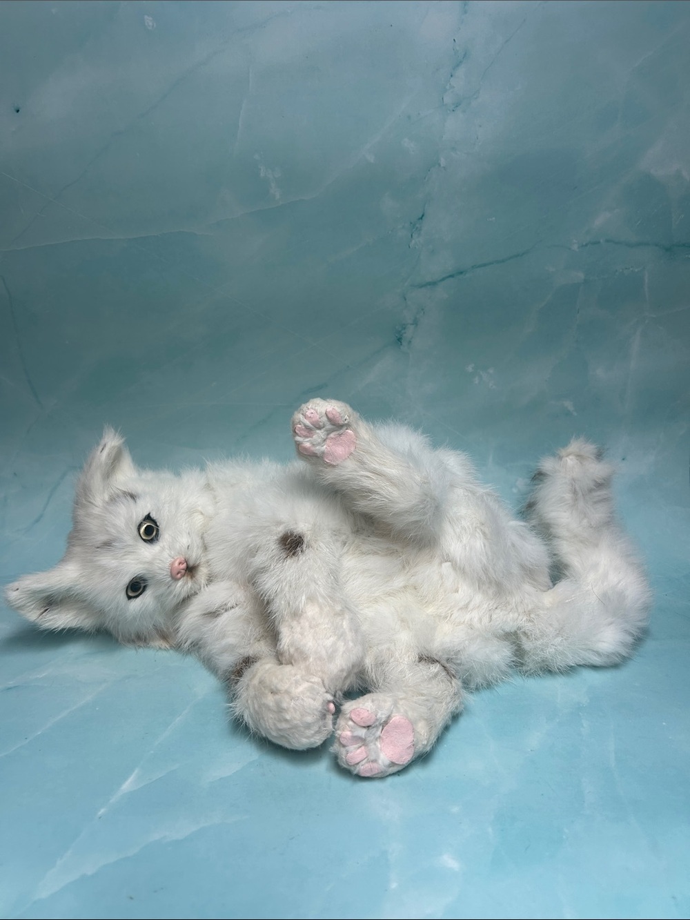 Realistic White Cat figurine with real fur 14 inches